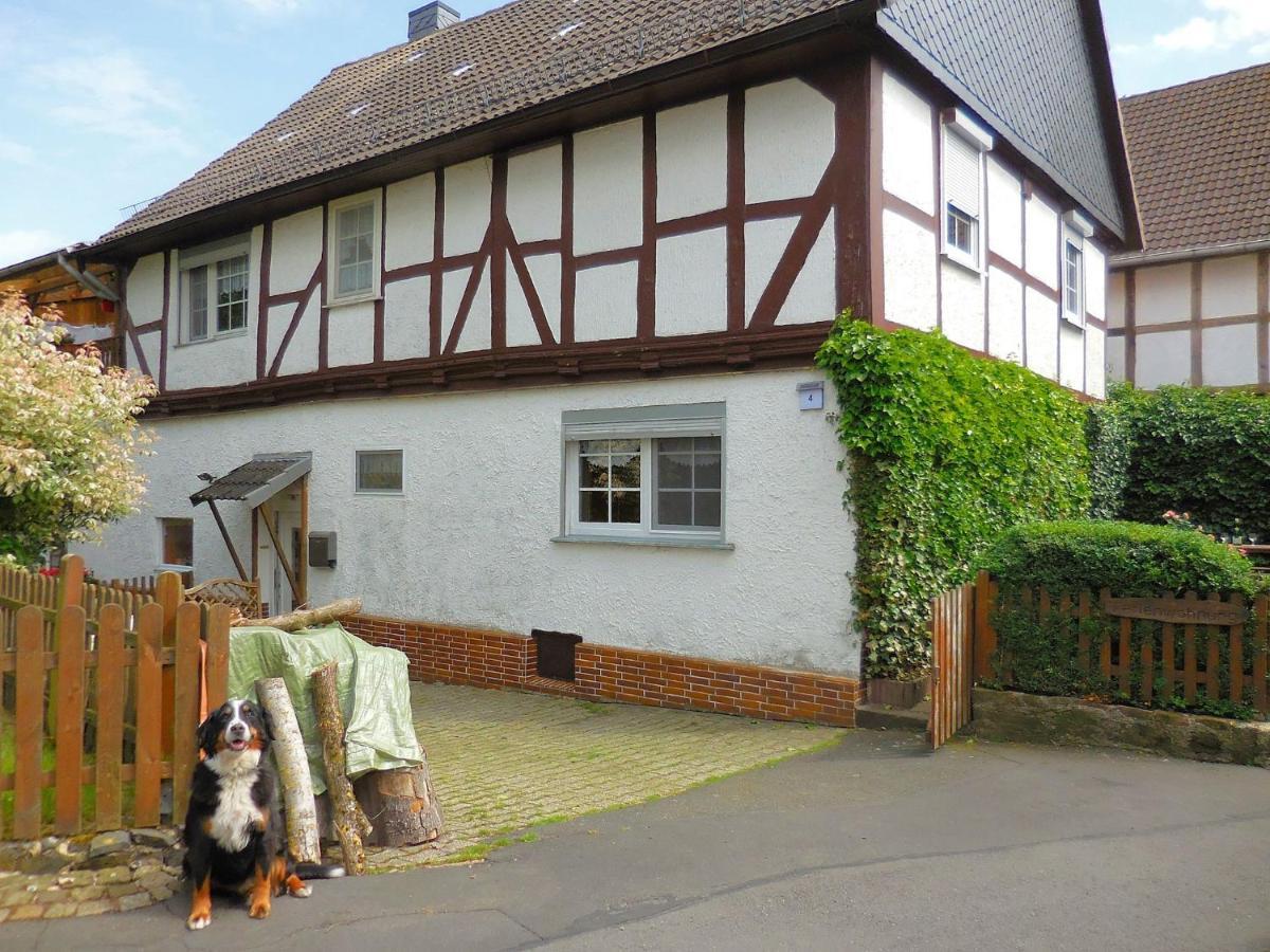 Small Apartment In Hesse With Terrace And Garden Frielendorf Dış mekan fotoğraf